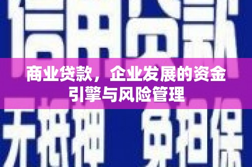 武义商业贷款，企业发展的资金引擎与风险管理