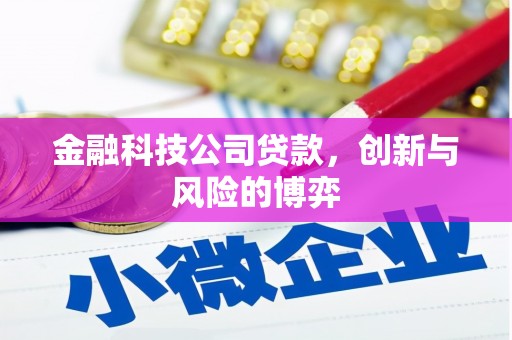 营口金融科技公司贷款，创新与风险的博弈