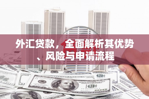 舟山新区外汇贷款，全面解析其优势、风险与申请流程