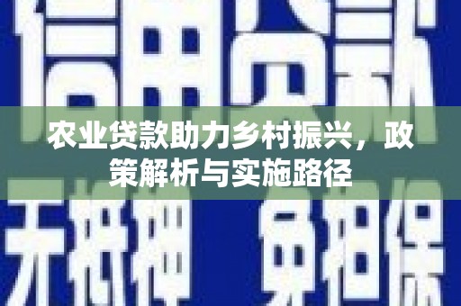 西和农业贷款助力乡村振兴，政策解析与实施路径