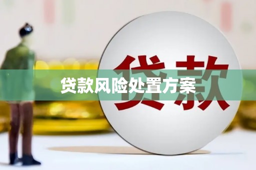 苓雅贷款风险处置方案