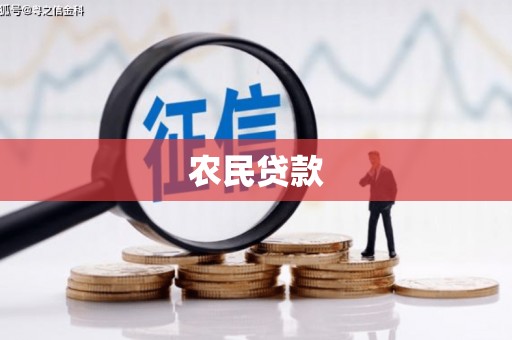 洋县农民贷款