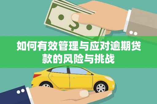 尖扎如何有效管理与应对逾期贷款的风险与挑战