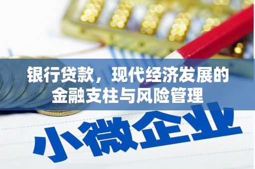 富川银行贷款，现代经济发展的金融支柱与风险管理