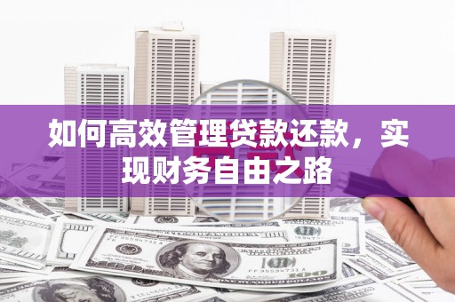 安图如何高效管理贷款还款，实现财务自由之路