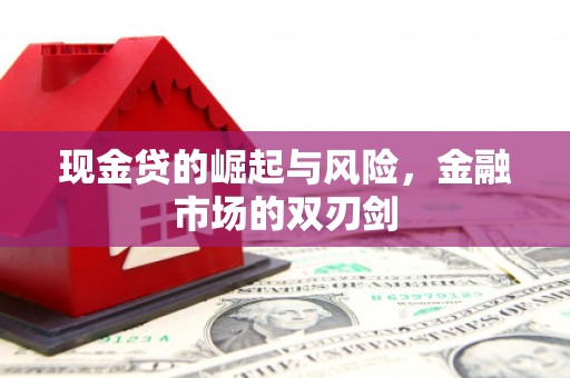 中山现金贷的崛起与风险，金融市场的双刃剑