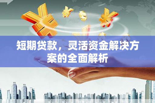 墨竹工卡短期贷款，灵活资金解决方案的全面解析