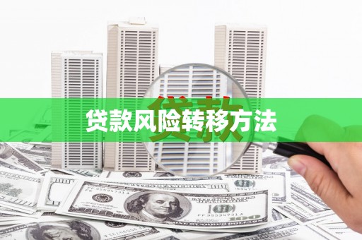 圣方济各堂区贷款风险转移方法