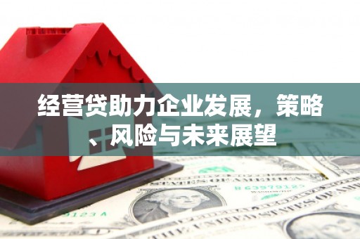 江川经营贷助力企业发展，策略、风险与未来展望