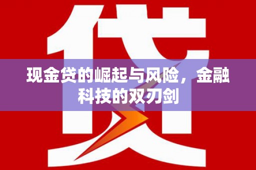 会理现金贷的崛起与风险，金融科技的双刃剑