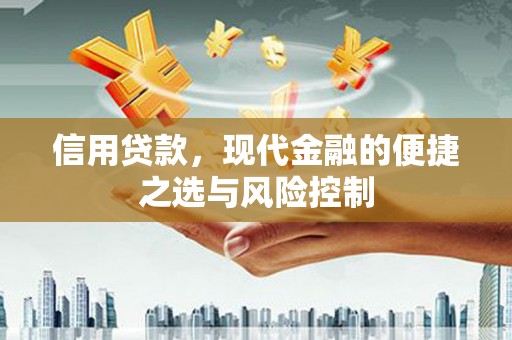 将军信用贷款，现代金融的便捷之选与风险控制