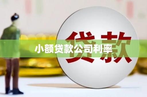 北仑小额贷款公司利率