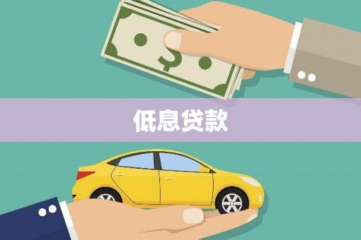 西林低息贷款