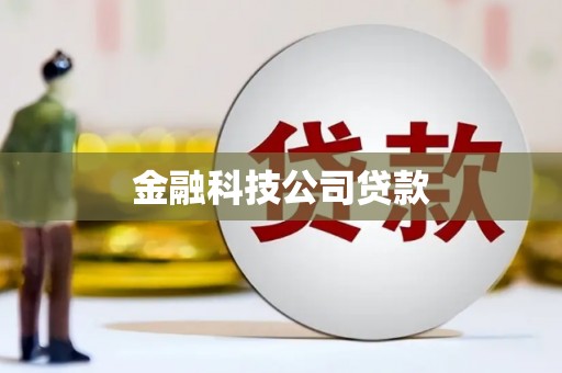 霍山金融科技公司贷款
