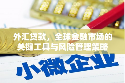 工布江达外汇贷款，全球金融市场的关键工具与风险管理策略