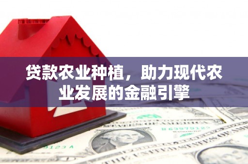 西吉贷款农业种植，助力现代农业发展的金融引擎