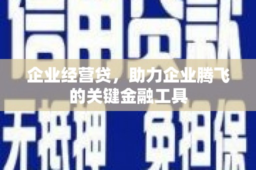 龙沙企业经营贷，助力企业腾飞的关键金融工具