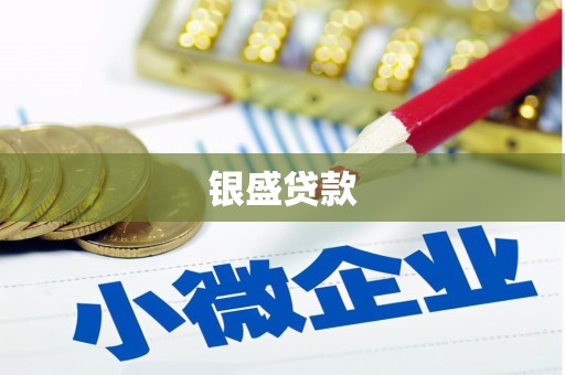 潼关银盛贷款