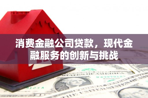 双柏消费金融公司贷款，现代金融服务的创新与挑战