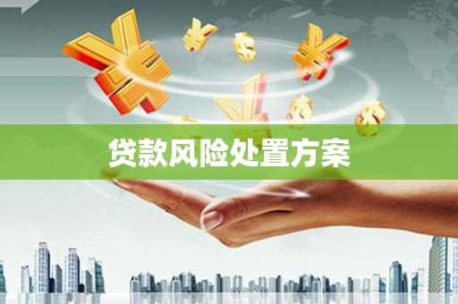 共和贷款风险处置方案