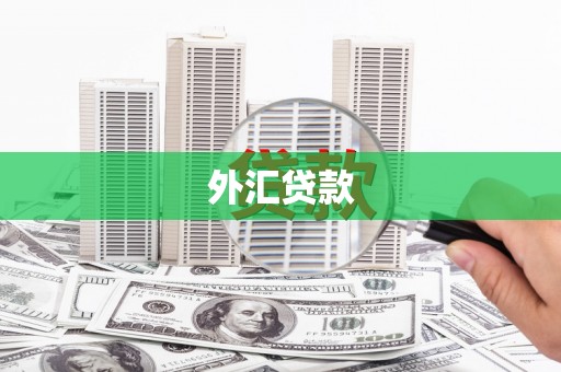 红安外汇贷款