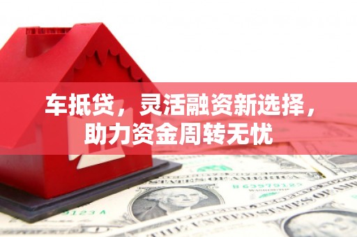 瑞穗车抵贷，灵活融资新选择，助力资金周转无忧
