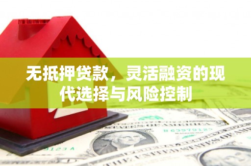 岳麓无抵押贷款，灵活融资的现代选择与风险控制