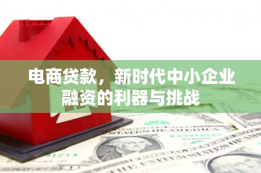 林周电商贷款，新时代中小企业融资的利器与挑战