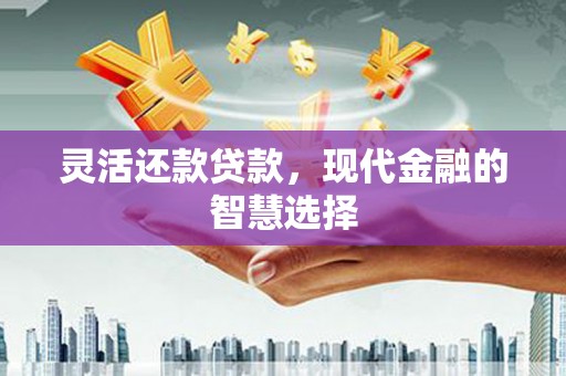 唐县灵活还款贷款，现代金融的智慧选择