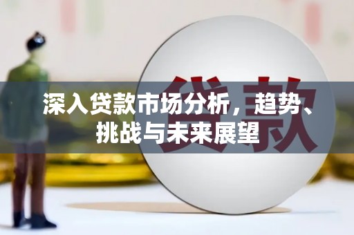 邵东深入贷款市场分析，趋势、挑战与未来展望
