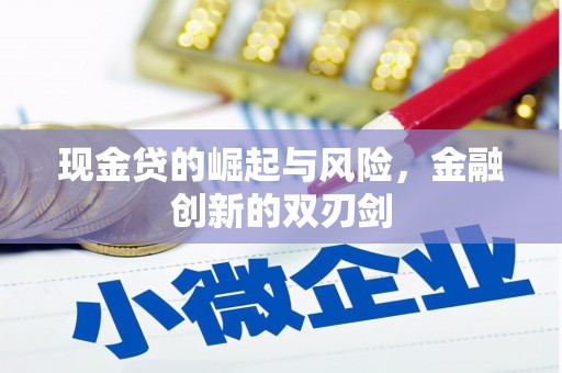 随州现金贷的崛起与风险，金融创新的双刃剑