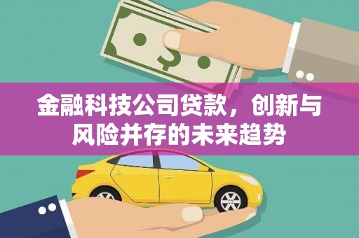 阿勒泰金融科技公司贷款，创新与风险并存的未来趋势