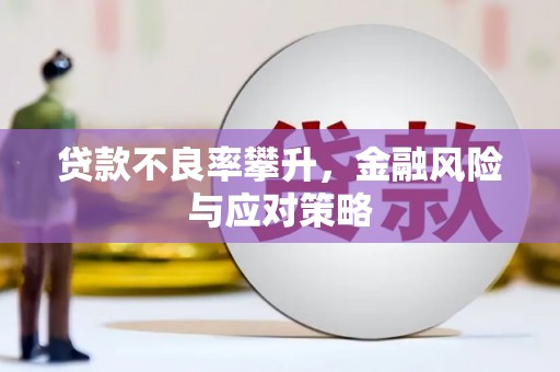 巴楚贷款不良率攀升，金融风险与应对策略