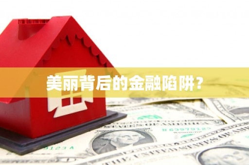 金乡美丽背后的金融陷阱？