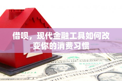 金阳借呗，现代金融工具如何改变你的消费习惯