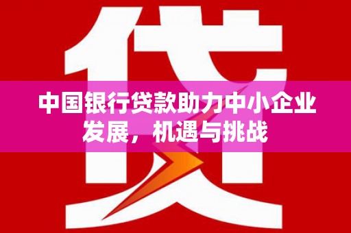 舒兰中国银行贷款助力中小企业发展，机遇与挑战