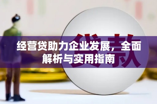 埤头经营贷助力企业发展，全面解析与实用指南