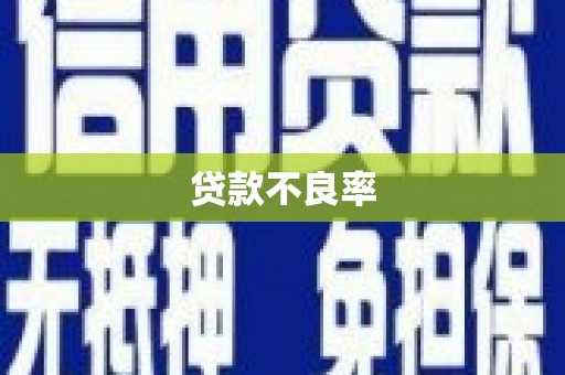 公安贷款不良率