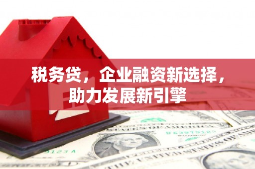 东势税务贷，企业融资新选择，助力发展新引擎