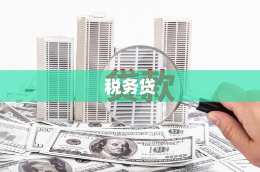 高安税务贷