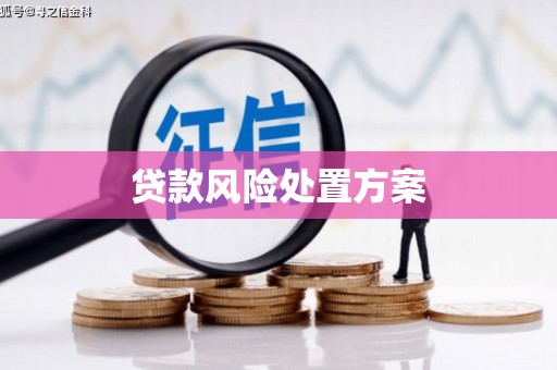 克山贷款风险处置方案