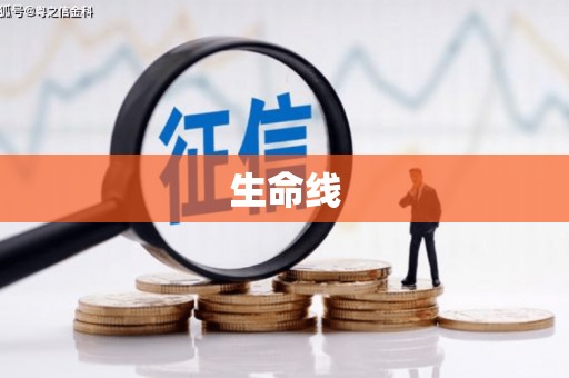 隆安生命线