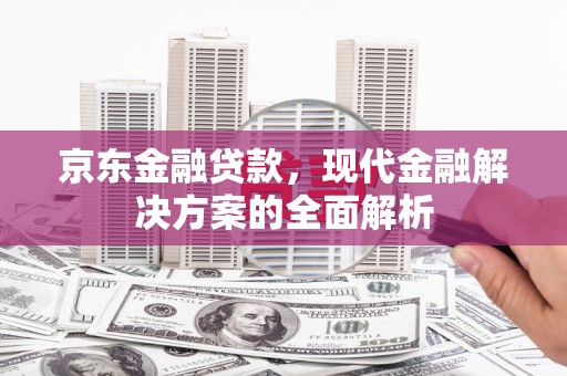 二水京东金融贷款，现代金融解决方案的全面解析