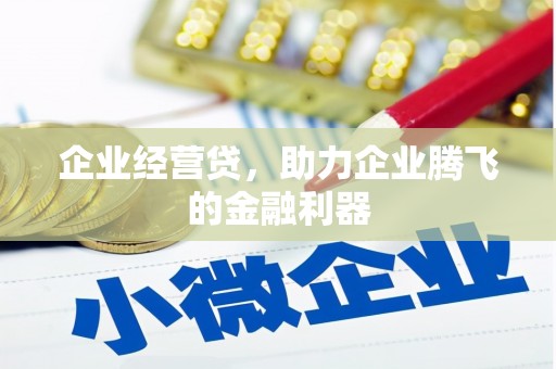 宝坻企业经营贷，助力企业腾飞的金融利器
