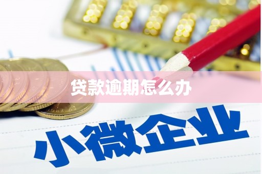 绥化贷款逾期怎么办