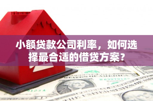 杨浦小额贷款公司利率，如何选择最合适的借贷方案？