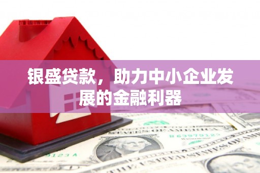 桃城银盛贷款，助力中小企业发展的金融利器