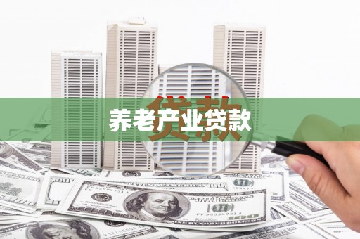 普湾新区养老产业贷款