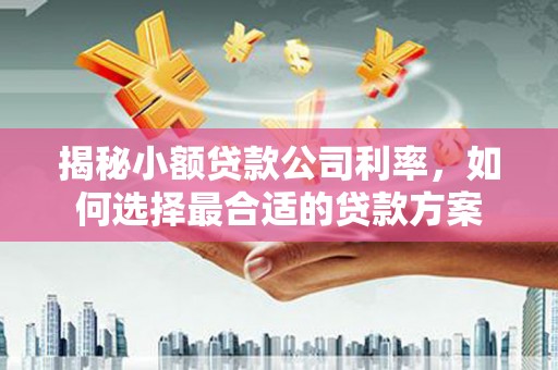城中揭秘小额贷款公司利率，如何选择最合适的贷款方案
