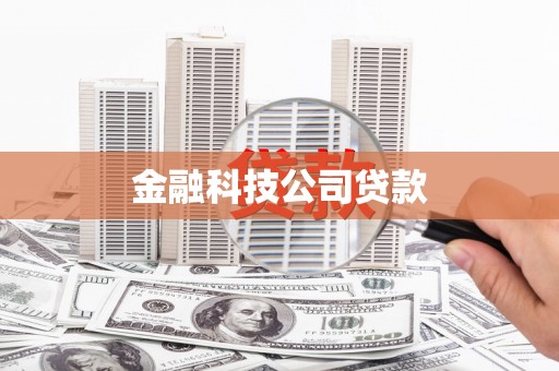 进贤金融科技公司贷款